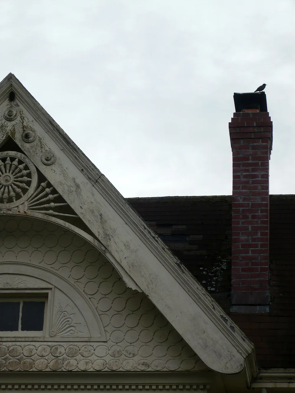 A starling perched on the metal cap of a red brick chimney in Ferndale, California